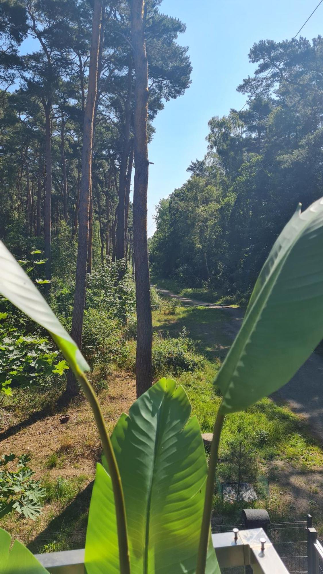 Apartmán Czarna Perla Dziwnówek Exteriér fotografie